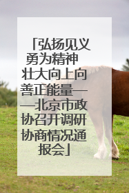 弘扬见义勇为精神 壮大向上向善正能量——北京市政协召开调研协商情况通报会