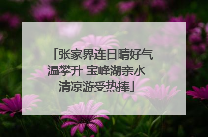张家界连日晴好气温攀升 宝峰湖亲水清凉游受热捧