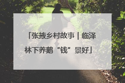 张掖乡村故事｜临泽林下养鹅“钱”景好