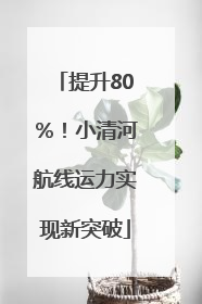 提升80％！小清河航线运力实现新突破