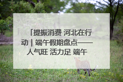 提振消费 河北在行动｜端午假期盘点——人气旺 活力足 端午经济“热浪”迭起