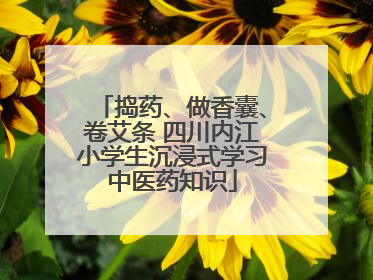 捣药、做香囊、卷艾条 四川内江小学生沉浸式学习中医药知识