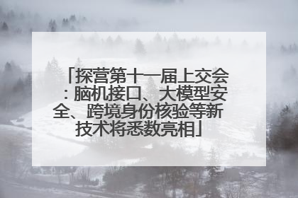 探营第十一届上交会：脑机接口、大模型安全、跨境身份核验等新技术将悉数亮相