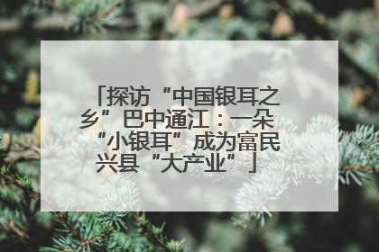 探访“中国银耳之乡”巴中通江：一朵“小银耳”成为富民兴县“大产业”