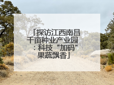 探访江西南昌千亩种业产业园：科技“加码” 果蔬飘香