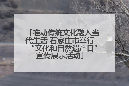 推动传统文化融入当代生活 石家庄市举行“文化和自然遗产日”宣传展示活动