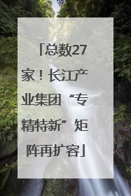 总数27家！长江产业集团“专精特新”矩阵再扩容