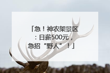 急！神农架景区：日薪500元，急招“野人”！
