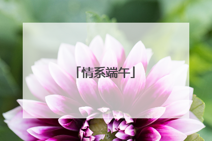 情系端午