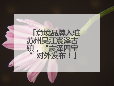 意境品牌入驻苏州吴江震泽古镇，“震泽四宝”对外发布！