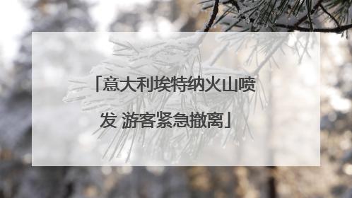 意大利埃特纳火山喷发 游客紧急撤离