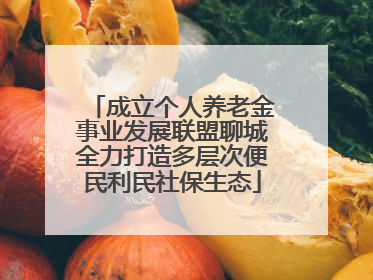 成立个人养老金事业发展联盟聊城全力打造多层次便民利民社保生态