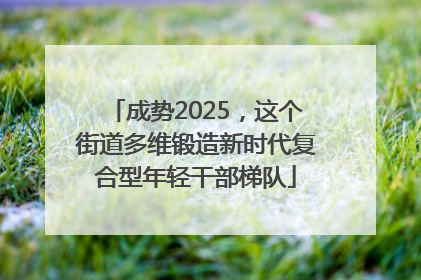 成势2025，这个街道多维锻造新时代复合型年轻干部梯队
