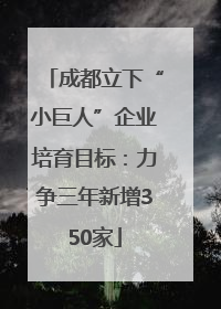 成都立下“小巨人”企业培育目标：力争三年新增350家