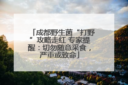 成都野生菌“打野”攻略走红 专家提醒：切勿随意采食，严重或致命