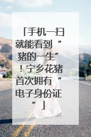手机一扫就能看到“猪的一生”！宁乡花猪首次拥有“电子身份证”