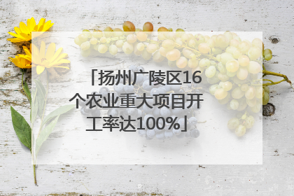 扬州广陵区16个农业重大项目开工率达100%