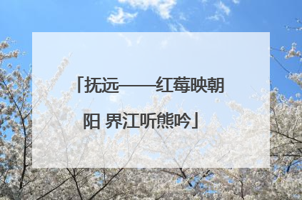 抚远——红莓映朝阳 界江听熊吟