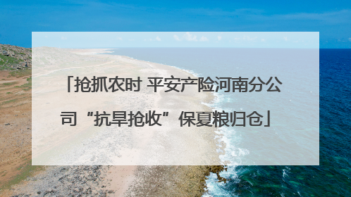 抢抓农时 平安产险河南分公司“抗旱抢收”保夏粮归仓