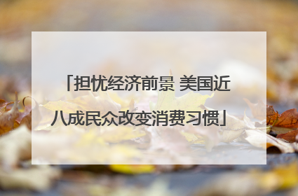 担忧经济前景 美国近八成民众改变消费习惯