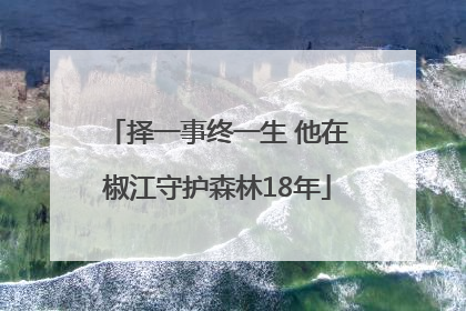 择一事终一生 他在椒江守护森林18年