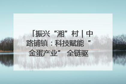 振兴“湘”村｜中路铺镇：科技赋能“金蛋产业” 全链驱动乡村振兴