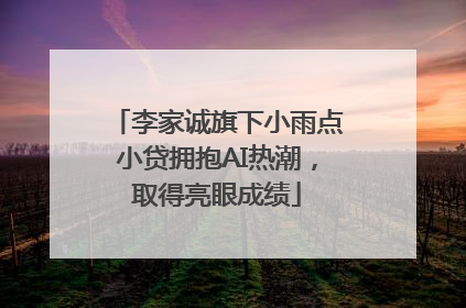 李家诚旗下小雨点小贷拥抱AI热潮，取得亮眼成绩
