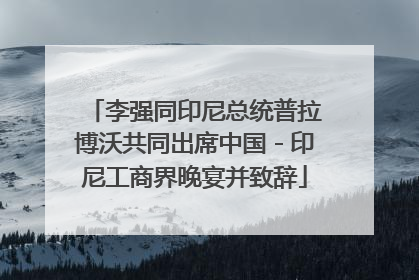 李强同印尼总统普拉博沃共同出席中国－印尼工商界晚宴并致辞