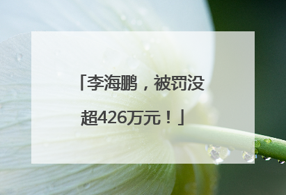 李海鹏，被罚没超426万元！