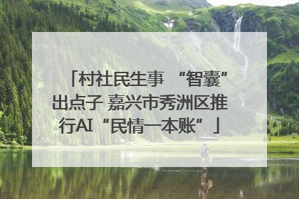 村社民生事 “智囊”出点子 嘉兴市秀洲区推行AI“民情一本账”