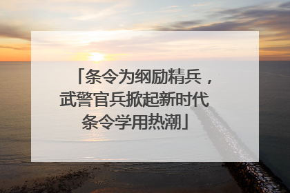 条令为纲励精兵，武警官兵掀起新时代条令学用热潮