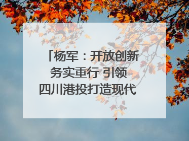 杨军：开放创新 务实重行 引领四川港投打造现代物流标杆｜致敬2024四川经济影响力人物