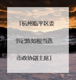 杭州临平区委书记陈如根当选市政协副主席