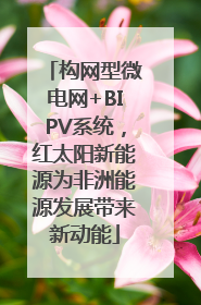 构网型微电网+BIPV系统，红太阳新能源为非洲能源发展带来新动能