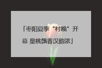枣阳夏季“村晚”开幕 皇桃飘香汉韵浓