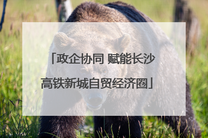 政企协同 赋能长沙高铁新城自贸经济圈