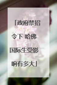 政府禁招令下 哈佛国际生受影响有多大