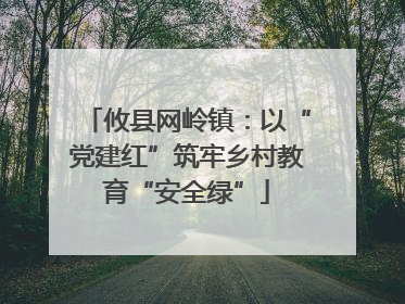 攸县网岭镇：以“党建红”筑牢乡村教育“安全绿”