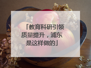 教育科研引领质量提升，浦东是这样做的