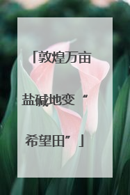 敦煌万亩盐碱地变“希望田”