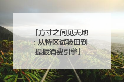 方寸之间见天地：从特区试验田到提振消费引擎
