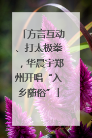 方言互动、打太极拳，华晨宇郑州开唱“入乡随俗”