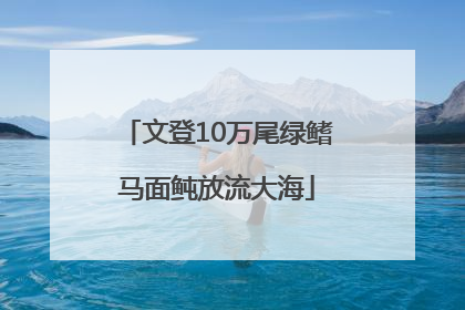 文登10万尾绿鳍马面鲀放流大海