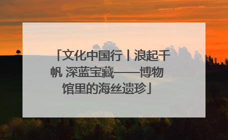 文化中国行丨浪起千帆 深蓝宝藏——博物馆里的海丝遗珍