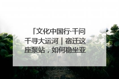 文化中国行·千问千寻大运河｜宿迁这座泵站，如何稳坐亚洲第一宝座？