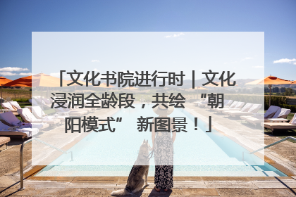 文化书院进行时｜文化浸润全龄段，共绘 “朝阳模式” 新图景！