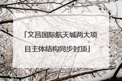 文昌国际航天城两大项目主体结构同步封顶