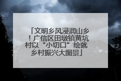 文明乡风浸润山乡！广信区田墩镇黄坑村以“小切口”绘就乡村振兴大图景