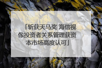斩获天马奖 海信视像投资者关系管理获资本市场高度认可