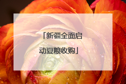 新疆全面启动夏粮收购